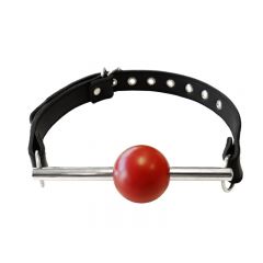 Ball Gag with Stainless Rod